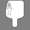 Hand Held Fan W/ Picture of a Human Skeleton